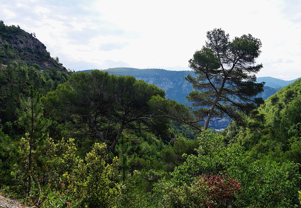 Toiture Alpes-Maritimes