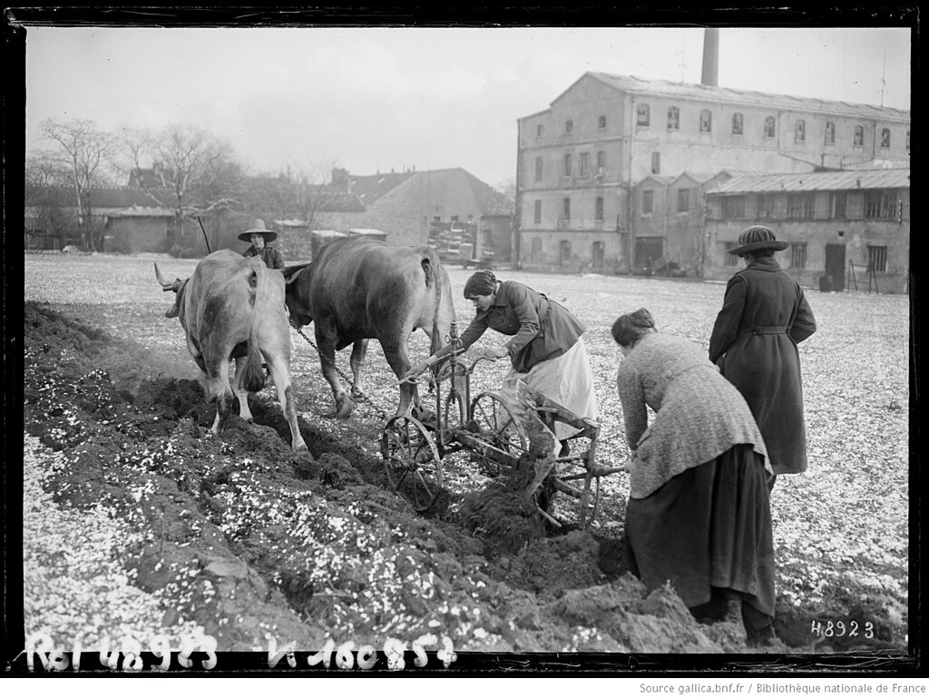 Toiture Val-de-Marne