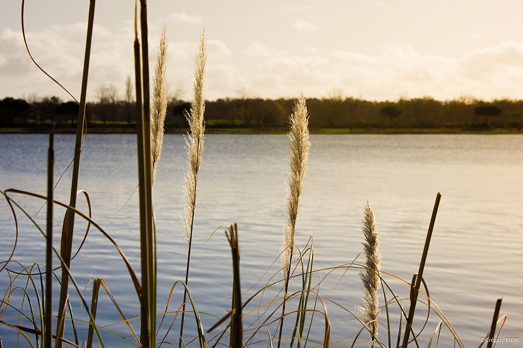 Toiture Tournefeuille