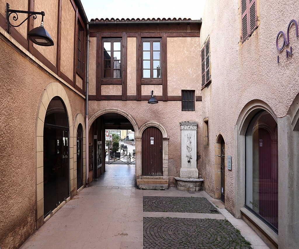 Toiture Villefranche-sur-Saône